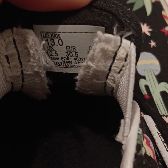 Vans   - Picture 5 of 5